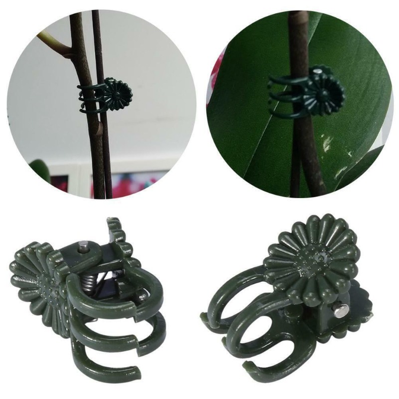 50PCS 5-Claw Dark Green Plant  - Gardening Tools Green recension och pris