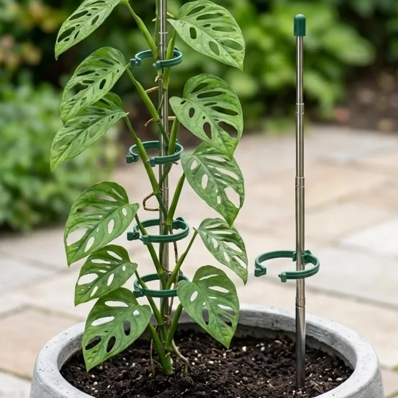 5/1PCS Retractable Plant Suppo - Gardening Tools Green recension och pris