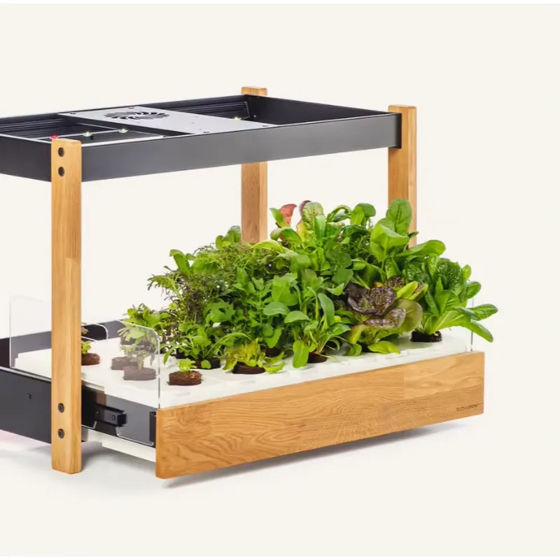Hot Sale Heirloom Vegetable 27 - Gardening Tools Kit For Sale recension och pris