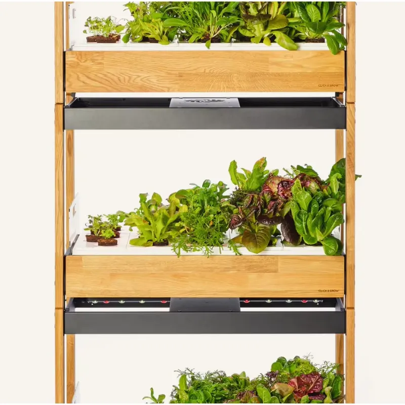 Hot Sale Heirloom Vegetable 27 - Gardening Tools Kit For Sale recension och pris