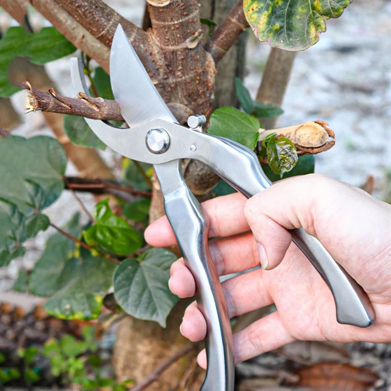 All Stainless Steel Profession - Gardening Tools Green recension och pris